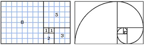 de_fibonacci_spiraal.jpg